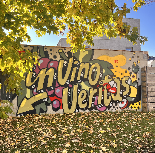 Fassadenkunst Fassadenbemalung Graffitiartist Wandkunst Graffitikunst 2983 Design Innsbruck Graffiti Auftrag Wandbemalung Workshop Streetart Tirol Hamburg Auftrag Oesterreich Wandgestaltung Mural Graffiti Kuenstler Kunst