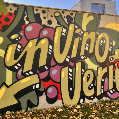 Fassadenkunst Fassadenbemalung Graffitiartist Wandkunst Werbewand2983 Design Innsbruck Graffiti Auftrag Wandbemalung Workshop Streetart Tirol Hamburg Auftrag Oesterreich Wandgestaltung Wien Mural Graffiti Kuenstler Kunst